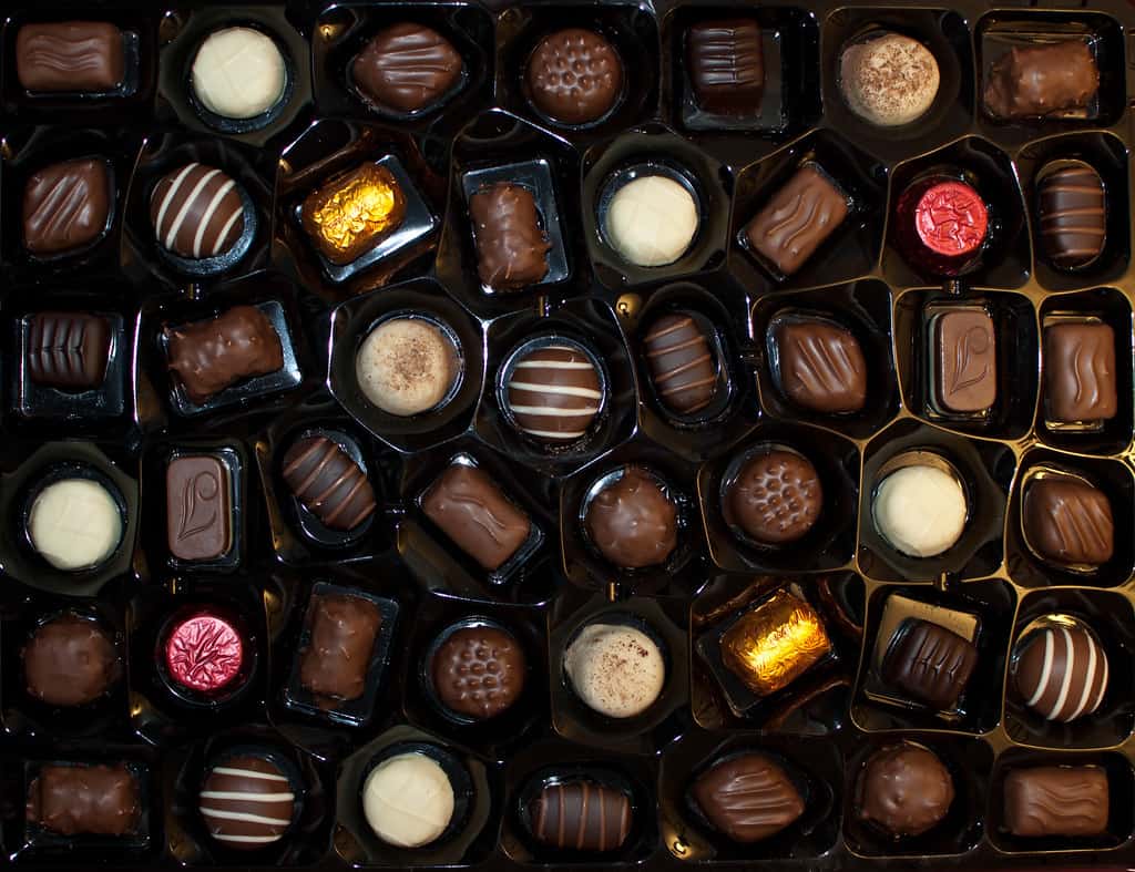 UK Chocolate Brands: A Delightful Journey Through Chocolate Heaven