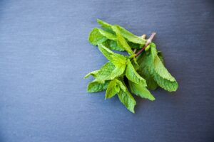 green leaves on gray textile, mint