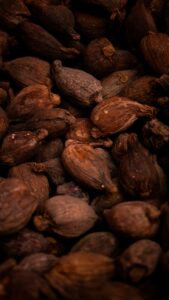 cocoa beans