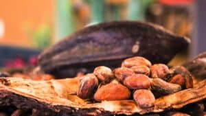 Cocoa Beans