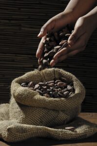 cocoa beans