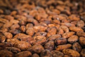 Brown Cocoa Beans