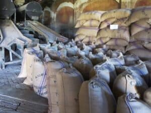 Sacks of Cocoa Beans