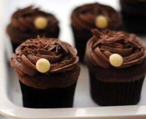 Chocolate Cup Cakes